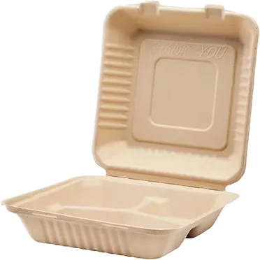 Bagasse Lunch box compartimentée